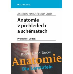 Anatomie v přehledech a schématech - Elke Lütjen-Drecoll