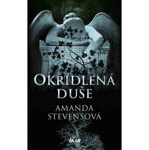 Okřídlená duše - Amanda Stevens