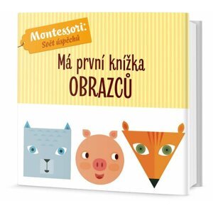 Má první knížka obrazců - Agnese Baruzziová