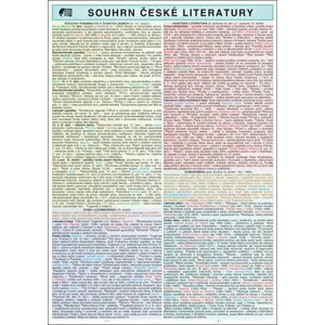 SOUHRN ČESKÉ LITERATURY SŠ A4 - Helena Brdičková