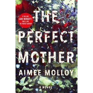 Perfect Mother - Aimee Molloy