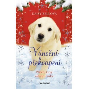 Vánoční překvapení - Příběh, který zahřeje u srdce, 1.  vydání - Daisy Bellová