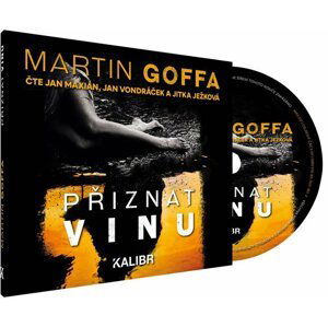 Přiznat vinu - audioknihovna - Martin Goffa