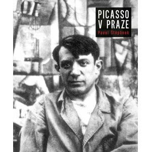 Picasso v Praze - Pavel Štěpánek