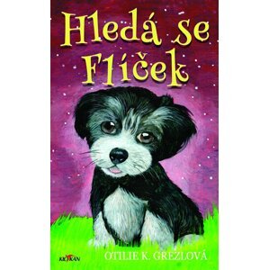 Hledá se Flíček - Otilie K. Grezlová