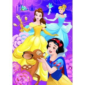 Disney Princezny - Duhové princezny: puzzle 100XL dílků - Dino