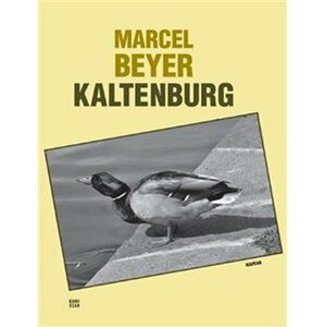 Kaltenburg - Marcel Beyer