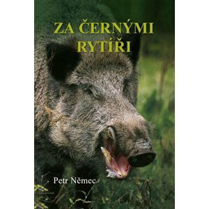 Za černými rytíři - Petr Němec