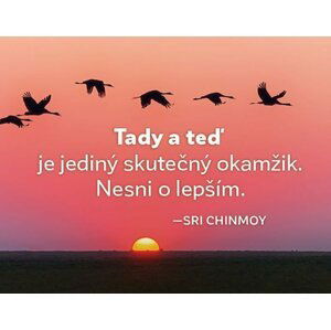 Magnet na lednici - Tady a teď je jediný skutečný okamžik. Nesmi o lepším. - Sri Chinmoy