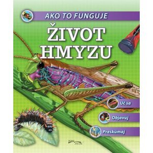 Ako to funguje Život hmyzu