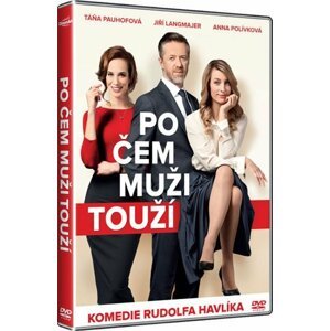 Po čem muži touží - DVD