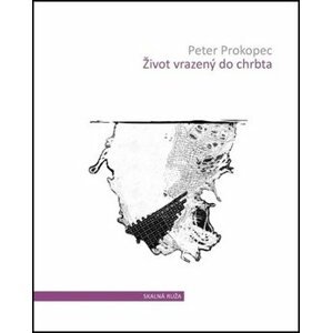 Život vrazený do chrbta - Peter Prokopec