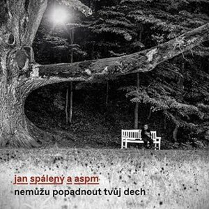 Nemůžu popadnout tvůj dech (CD) - ASPM