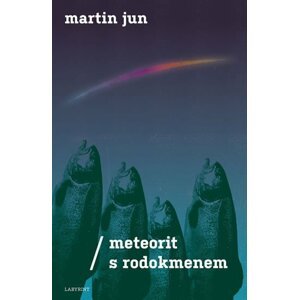 Meteorit s rodokmenem - Martin Jun