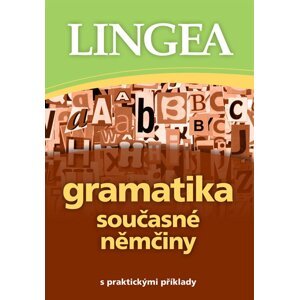 Gramatika současné němčiny s praktickými příklady - autorů kolektiv