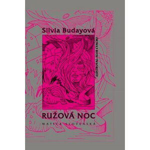 Ružová noc - Silvia Budayová