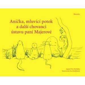 Anička, mluvící potok a další chovanci ústavu paní Majerové - Petr Koťátko