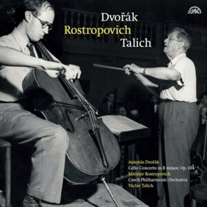 Dvořák: Koncert h moll pro violoncello a orchestr - LP - Antonín Dvořák