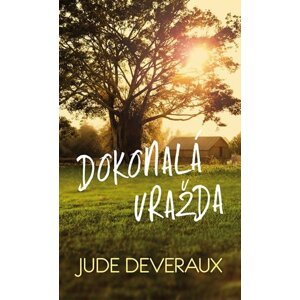 Dokonalá vražda - Jude Deveraux