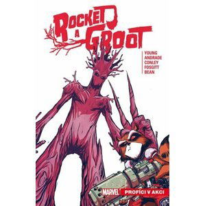 Rocket a Groot 1 - Profíci v akci - Skottie Young
