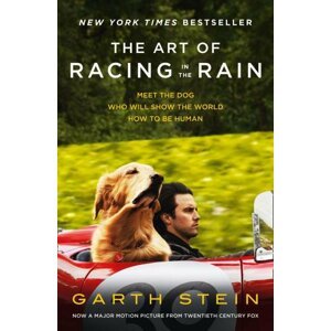 The Art of Racing in the Rain - Garth Stein