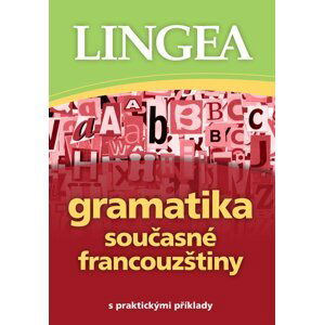 Gramatika současné francouzštiny s praktickými příklady