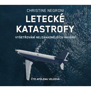 Letecké katastrofy (audiokniha) - Christine Negroni