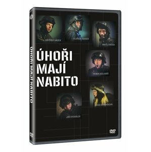 Úhoři mají nabito DVD