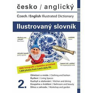 Česko-anglický ilustrovaný slovník 2. - Hrachová Jana Dolanská