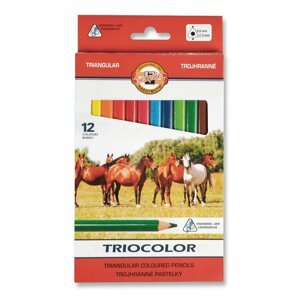 Koh-i-noor pastlky TRIOCOLOR trojhranné souprava 12 ks