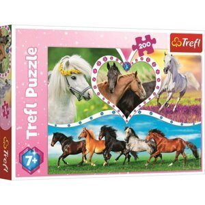 Trefl Puzzle Krásní koně / 200 dílků