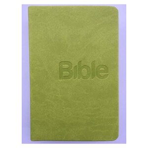 Bible, překlad 21. století (Green) - Alexandr Flek