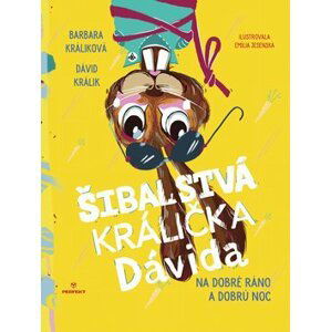 Šibalstvá králička Dávida - Barbara Králiková; Dávid Králik