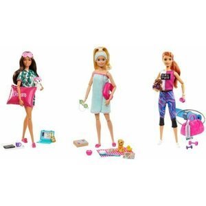 Barbie wellness panenka - Mattel Batman