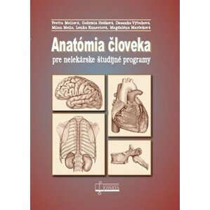Anatómia človeka pre nelekárske študijné programy - Yvetta Mellová; Gabriela Hešková; Desanka Výbohová