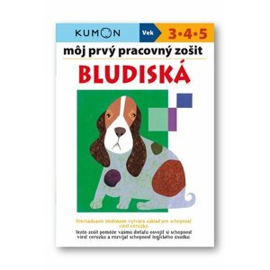 Môj prvý pracovný zošit Bludiská - Giovanni K. Moto; Toshihiko Karakida; Yoshiko Murakami