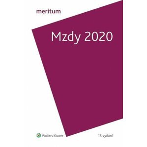 Meritum Mzdy 2020 - autorů kolektiv