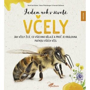 Jeden rok v životě včely - Jak včely žijí, co všechno dělají a proč je královna matkou všech včel - David Gerstmeier