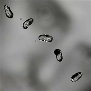 Peter Gabriel: Up - 2 LP - Peter Gabriel