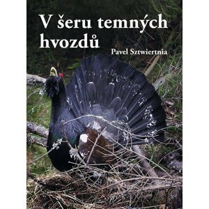 V šeru temných hvozdů - Pavel Sztwiertnia