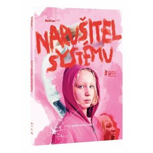 Narušitel systému DVD