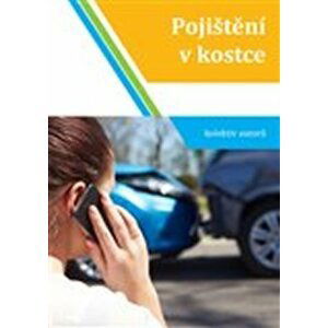 Pojištění v kostce - Pavel Engst