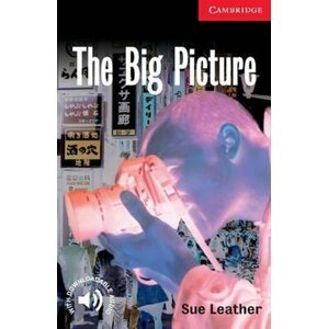 Big Picture - Sue Leather