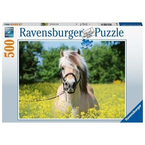 Puzzle Plavý kůň 500 dílků