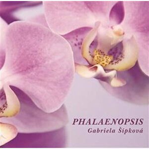 Phalaenopis - Gabriela Šípková