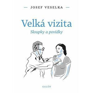 Velká vizita - Sloupky a povídky - Josef Veselka