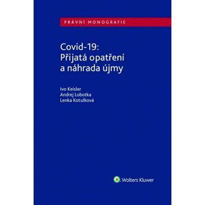 Covid-19: Přijatá opatření a náhrada újmy - Ivo Keisler