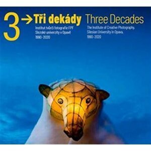 Tři dekády / Three Decades - Vladimír Birgus