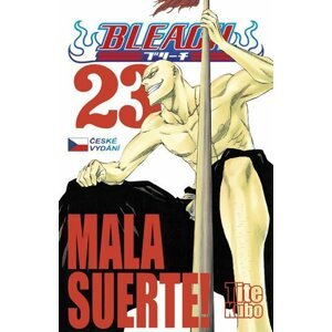 Bleach 23: Mala suerte! - Noriaki Kubo