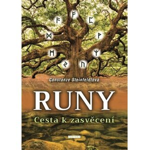 Runy - Cesta k zasvěcení - Constanze Steinfeldtová